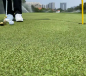 golf putting grass